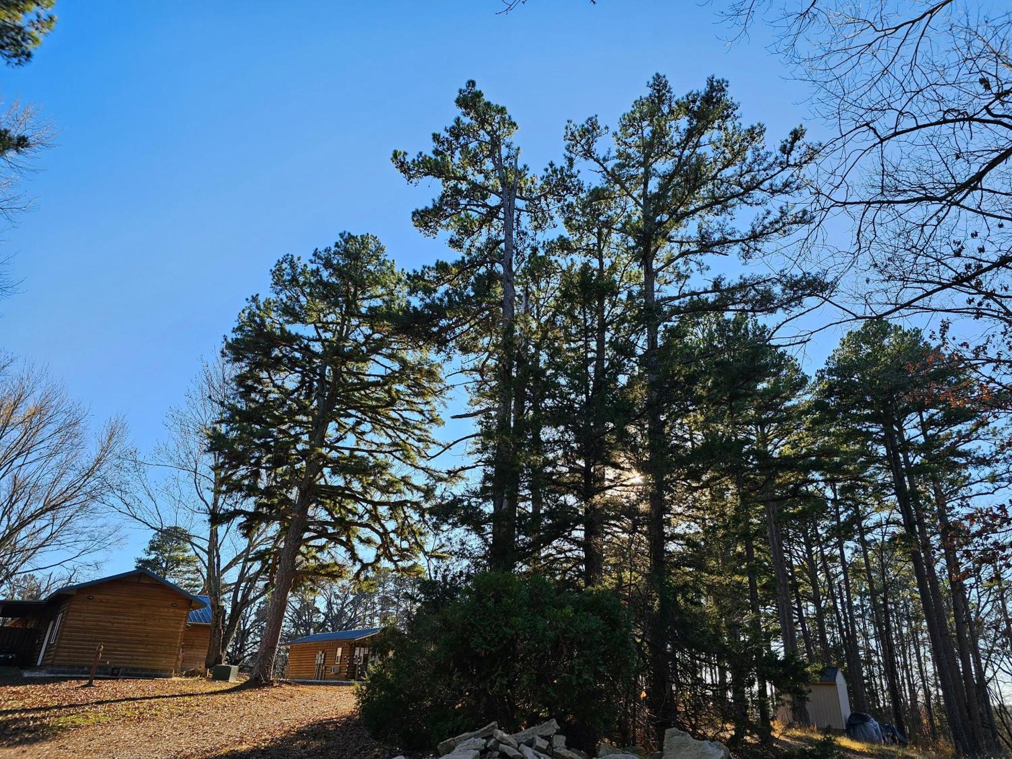 5 Min To Beaver Lake-King Bed-Fire Pit-Jetted Tub #3 Eureka Springs Luaran gambar